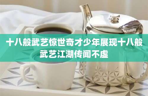十八般武艺惊世奇才少年展现十八般武艺江湖传闻不虚