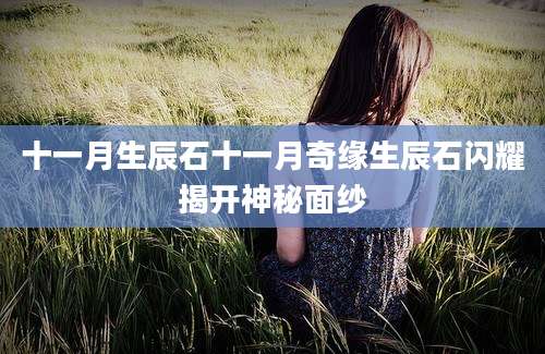 十一月生辰石十一月奇缘生辰石闪耀揭开神秘面纱