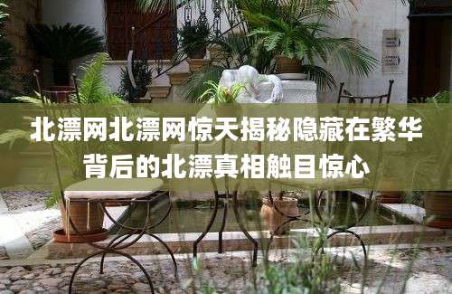 北漂网北漂网惊天揭秘隐藏在繁华背后的北漂真相触目惊心