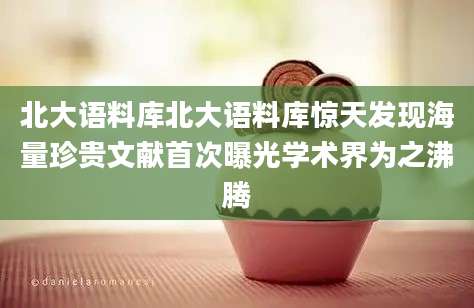 北大语料库北大语料库惊天发现海量珍贵文献首次曝光学术界为之沸腾