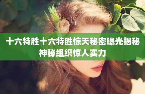 十六特胜十六特胜惊天秘密曝光揭秘神秘组织惊人实力