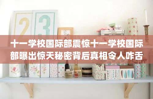 十一学校国际部震惊十一学校国际部曝出惊天秘密背后真相令人咋舌