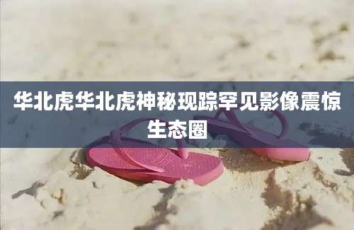 华北虎华北虎神秘现踪罕见影像震惊生态圈