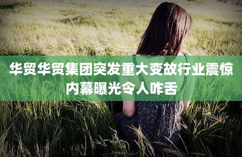 华贸华贸集团突发重大变故行业震惊内幕曝光令人咋舌