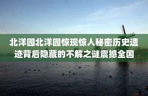 北洋园北洋园惊现惊人秘密历史遗迹背后隐藏的不解之谜震撼全国