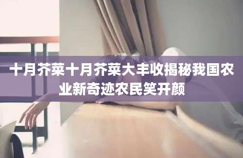 十月芥菜十月芥菜大丰收揭秘我国农业新奇迹农民笑开颜