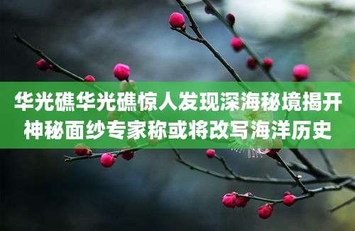 华光礁华光礁惊人发现深海秘境揭开神秘面纱专家称或将改写海洋历史