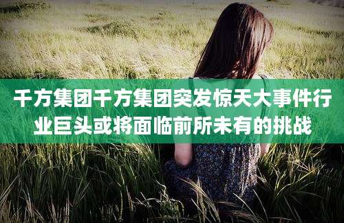 千方集团千方集团突发惊天大事件行业巨头或将面临前所未有的挑战
