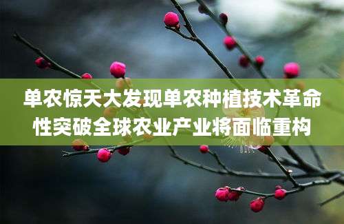 单农惊天大发现单农种植技术革命性突破全球农业产业将面临重构