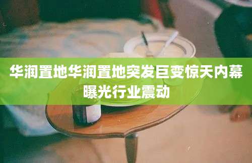 华润置地华润置地突发巨变惊天内幕曝光行业震动