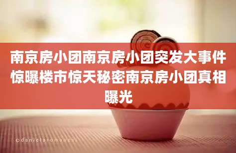南京房小团南京房小团突发大事件惊曝楼市惊天秘密南京房小团真相曝光
