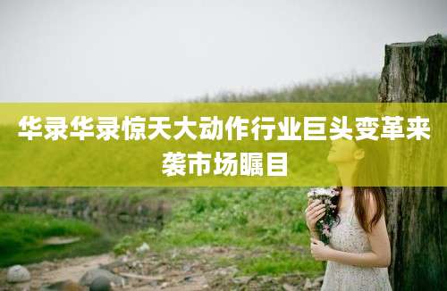 华录华录惊天大动作行业巨头变革来袭市场瞩目