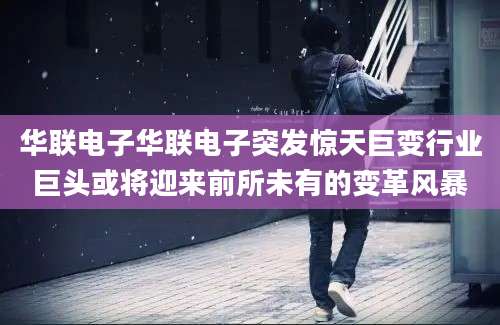 华联电子华联电子突发惊天巨变行业巨头或将迎来前所未有的变革风暴