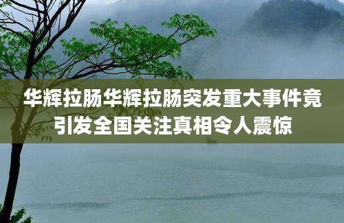 华辉拉肠华辉拉肠突发重大事件竟引发全国关注真相令人震惊