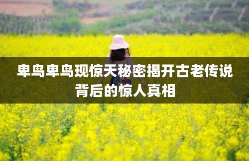 卑鸟卑鸟现惊天秘密揭开古老传说背后的惊人真相