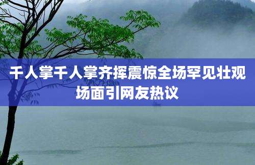 千人掌千人掌齐挥震惊全场罕见壮观场面引网友热议