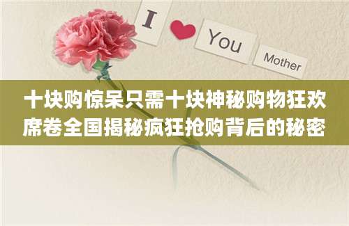 十块购惊呆只需十块神秘购物狂欢席卷全国揭秘疯狂抢购背后的秘密