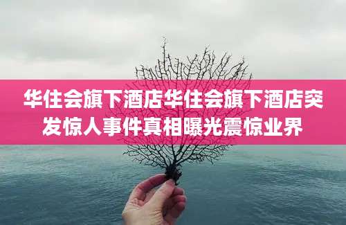 华住会旗下酒店华住会旗下酒店突发惊人事件真相曝光震惊业界