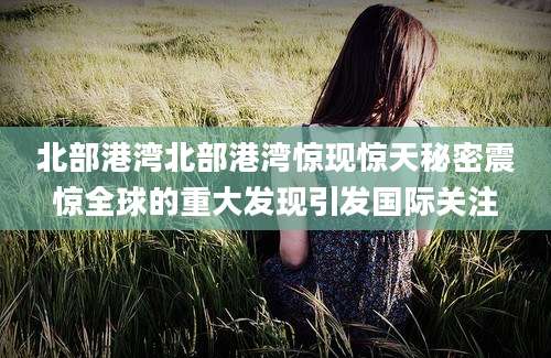 北部港湾北部港湾惊现惊天秘密震惊全球的重大发现引发国际关注