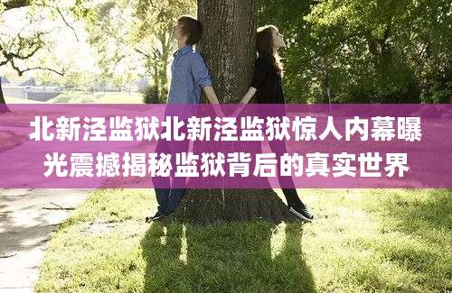 北新泾监狱北新泾监狱惊人内幕曝光震撼揭秘监狱背后的真实世界
