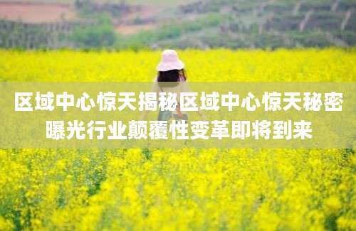 区域中心惊天揭秘区域中心惊天秘密曝光行业颠覆性变革即将到来