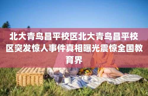 北大青鸟昌平校区北大青鸟昌平校区突发惊人事件真相曝光震惊全国教育界
