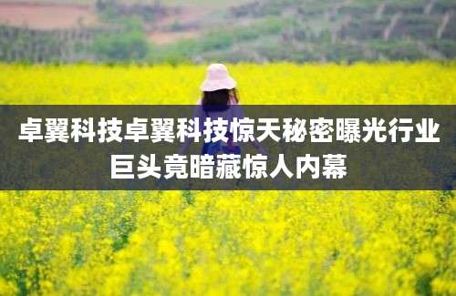 卓翼科技卓翼科技惊天秘密曝光行业巨头竟暗藏惊人内幕