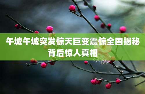 午城午城突发惊天巨变震惊全国揭秘背后惊人真相