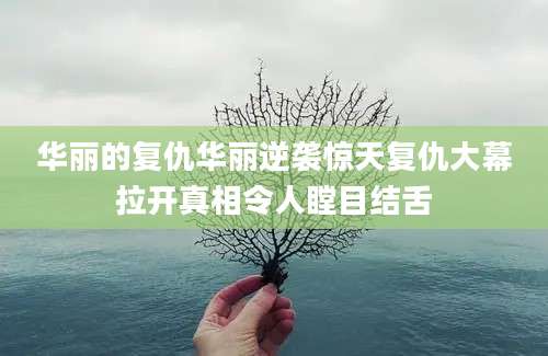 华丽的复仇华丽逆袭惊天复仇大幕拉开真相令人瞠目结舌