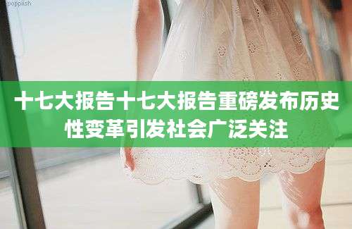 十七大报告十七大报告重磅发布历史性变革引发社会广泛关注