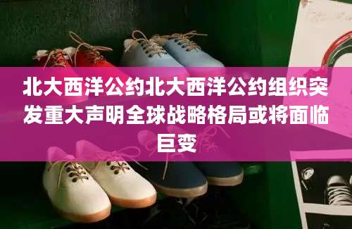 北大西洋公约北大西洋公约组织突发重大声明全球战略格局或将面临巨变