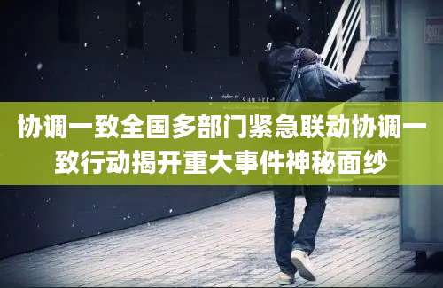 协调一致全国多部门紧急联动协调一致行动揭开重大事件神秘面纱