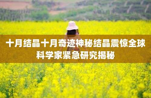 十月结晶十月奇迹神秘结晶震惊全球科学家紧急研究揭秘