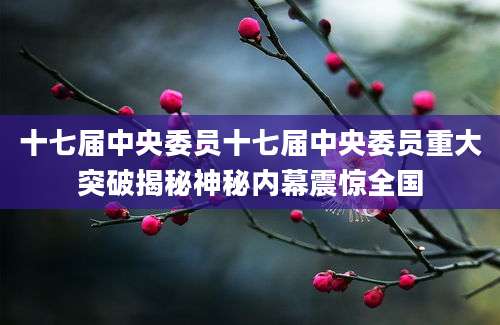 十七届中央委员十七届中央委员重大突破揭秘神秘内幕震惊全国