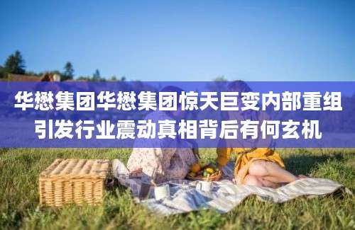 华懋集团华懋集团惊天巨变内部重组引发行业震动真相背后有何玄机