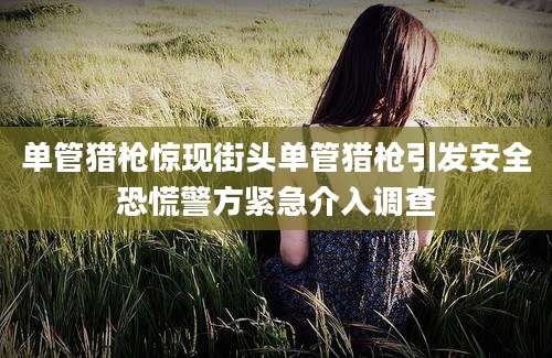 单管猎枪惊现街头单管猎枪引发安全恐慌警方紧急介入调查