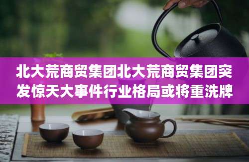北大荒商贸集团北大荒商贸集团突发惊天大事件行业格局或将重洗牌