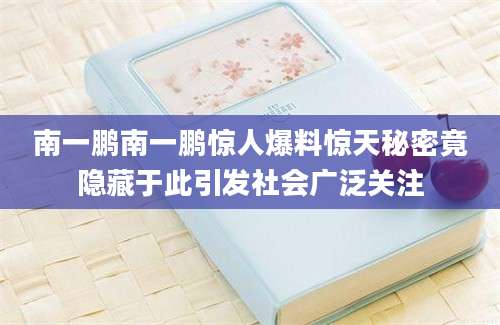 南一鹏南一鹏惊人爆料惊天秘密竟隐藏于此引发社会广泛关注