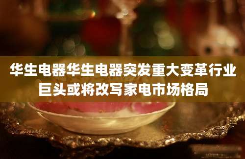 华生电器华生电器突发重大变革行业巨头或将改写家电市场格局