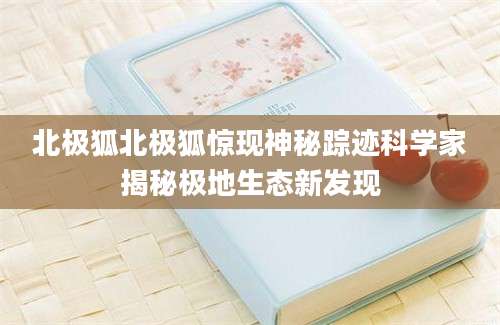 北极狐北极狐惊现神秘踪迹科学家揭秘极地生态新发现