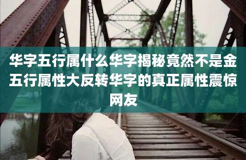 华字五行属什么华字揭秘竟然不是金五行属性大反转华字的真正属性震惊网友
