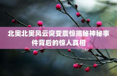 北奥北奥风云突变震惊揭秘神秘事件背后的惊人真相
