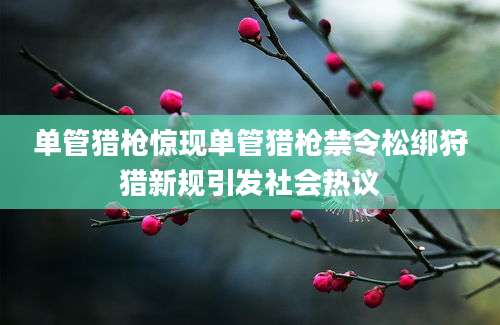 单管猎枪惊现单管猎枪禁令松绑狩猎新规引发社会热议