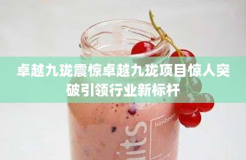 卓越九珑震惊卓越九珑项目惊人突破引领行业新标杆