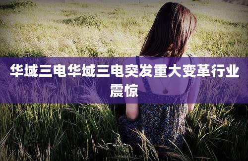 华域三电华域三电突发重大变革行业震惊