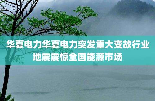 华夏电力华夏电力突发重大变故行业地震震惊全国能源市场