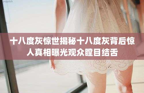 十八度灰惊世揭秘十八度灰背后惊人真相曝光观众瞠目结舌