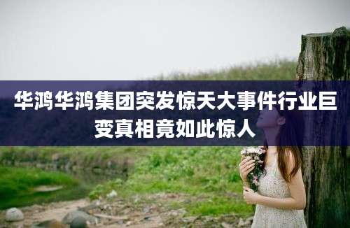 华鸿华鸿集团突发惊天大事件行业巨变真相竟如此惊人