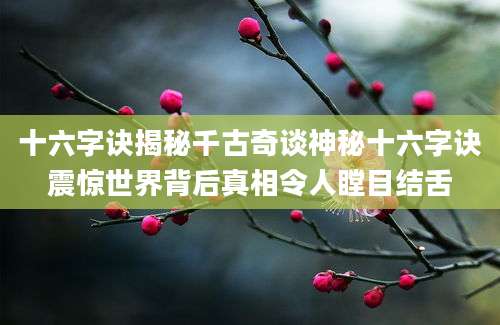 十六字诀揭秘千古奇谈神秘十六字诀震惊世界背后真相令人瞠目结舌