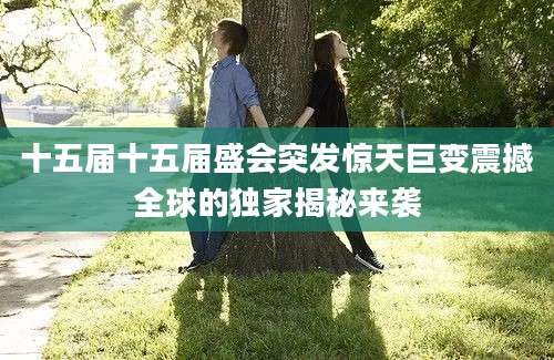 十五届十五届盛会突发惊天巨变震撼全球的独家揭秘来袭